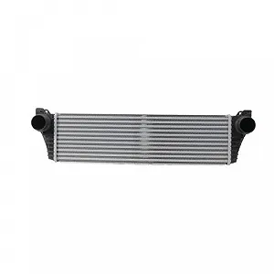 Интеркулер HELLA 8ML 366 340-281 для MERCEDES-BENZ synthetic.ua - Фото 1