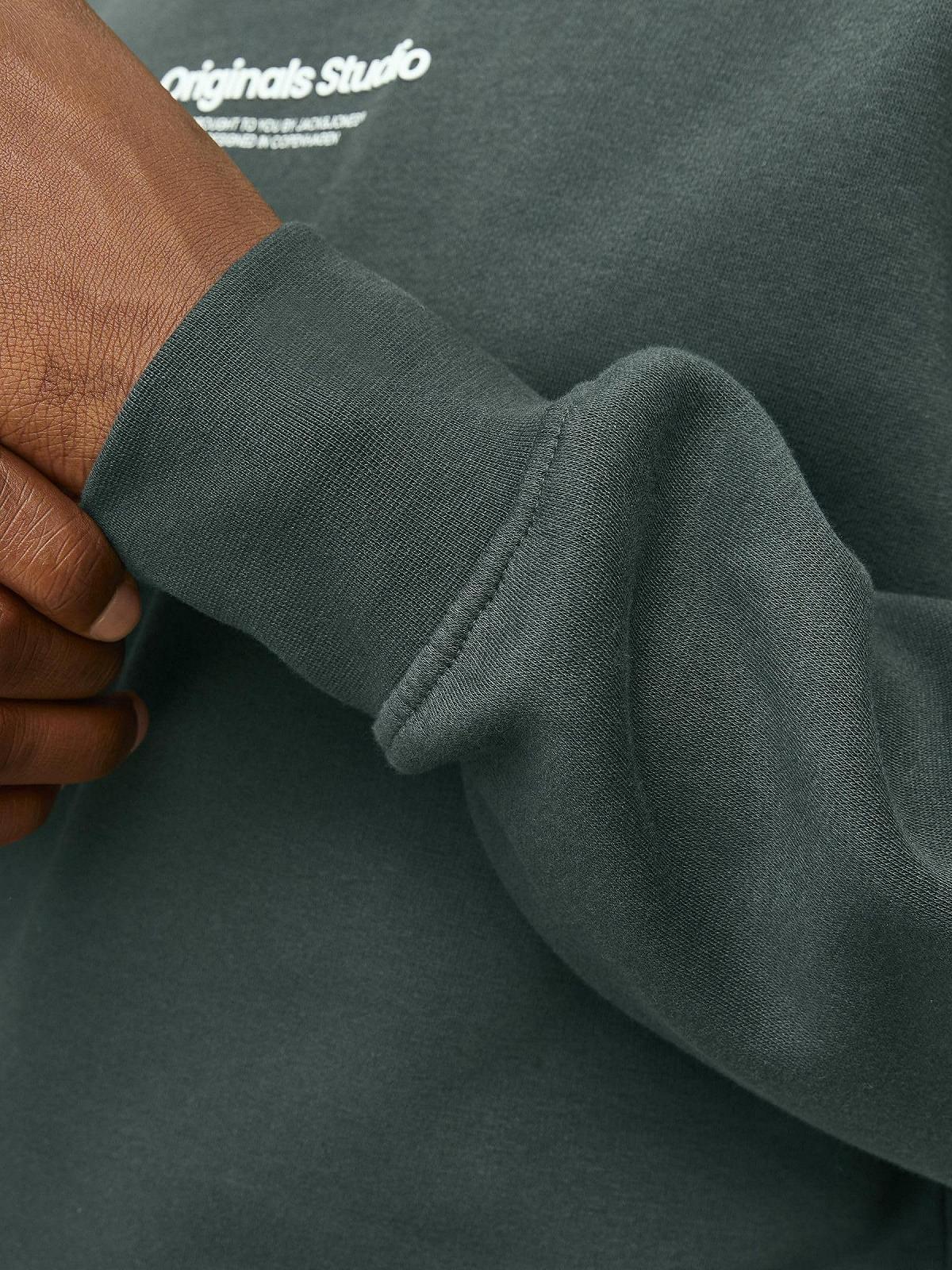 Толстовка JACK & JONES Jorvesterbro Sweat Crew Neck Noos, фото №3