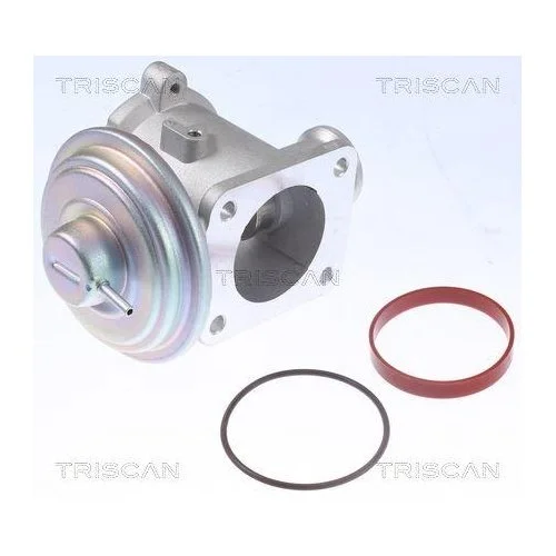 Клапан EGR TRISCAN 8813 11105 для BMW, фото №2