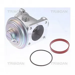 Клапан EGR TRISCAN 8813 11105 для BMW synthetic.ua - Фото 1