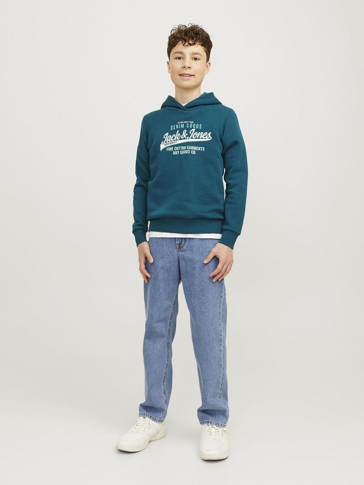 Худи JACK&JONES JUNIOR для мальчиков, фото №4