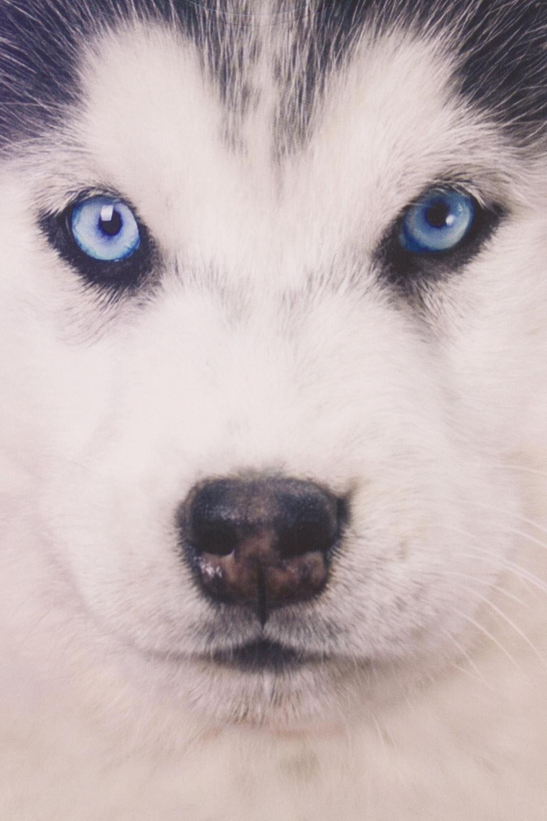 Пижама ThePyjamaFactory Husky 3D Paws Длинная, фото №4