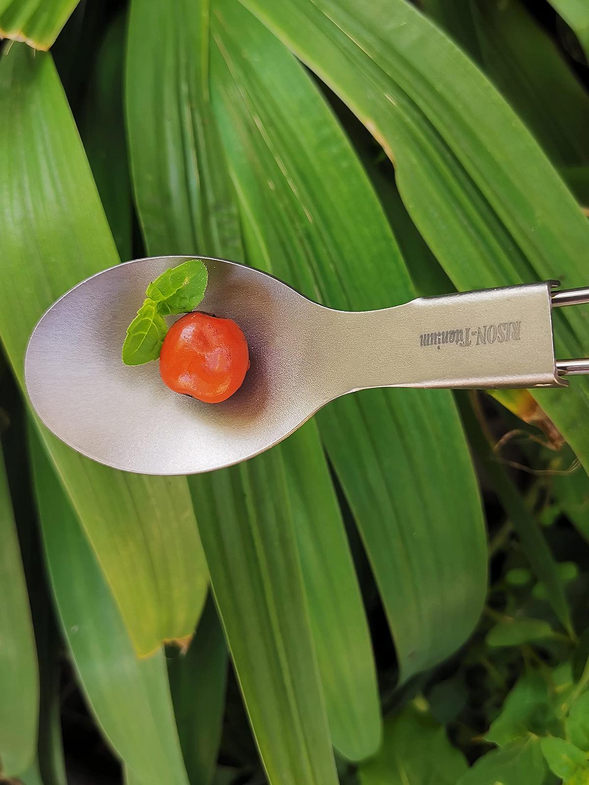 Ложка RISON-Titanium складана ультралегка високоякісна 2 шт. для кемпінгу, риболовлі, туризму, фото №4