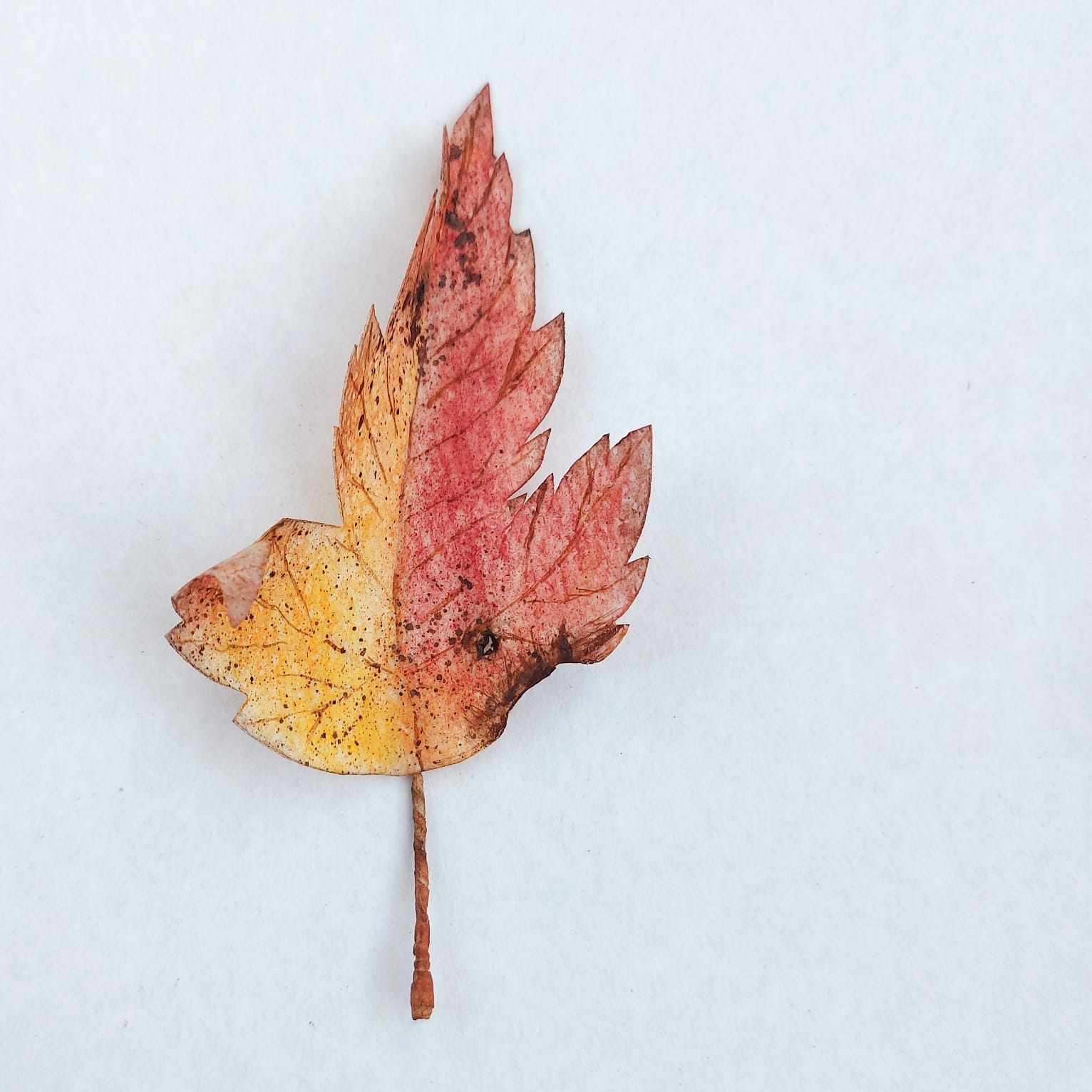 Вафельные цветы SiNegur Осенние листья, набор (7шт.) (ls_topper_leaves7set), фото №4