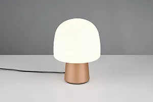 Настільна лампа Trio Leuchten Steen 568200165 Метал та скло Білий та кавовий synthetic.ua - Фото 1