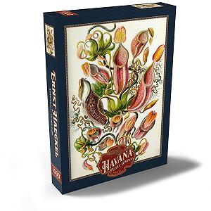 Пазл MyPuzzle Special Collection Nepenthaceae - Pitcher Plant, Vintage Art Poster, Ernst Haeckel 1000 элементов цена на synthetic.ua - Фото 1 Пазл MyPuzzle Special Collection Nepenthaceae - Pitcher Plant, Vintage Art Poster, Ernst Haeckel 1000 элементов synthetic.ua - Фото 1