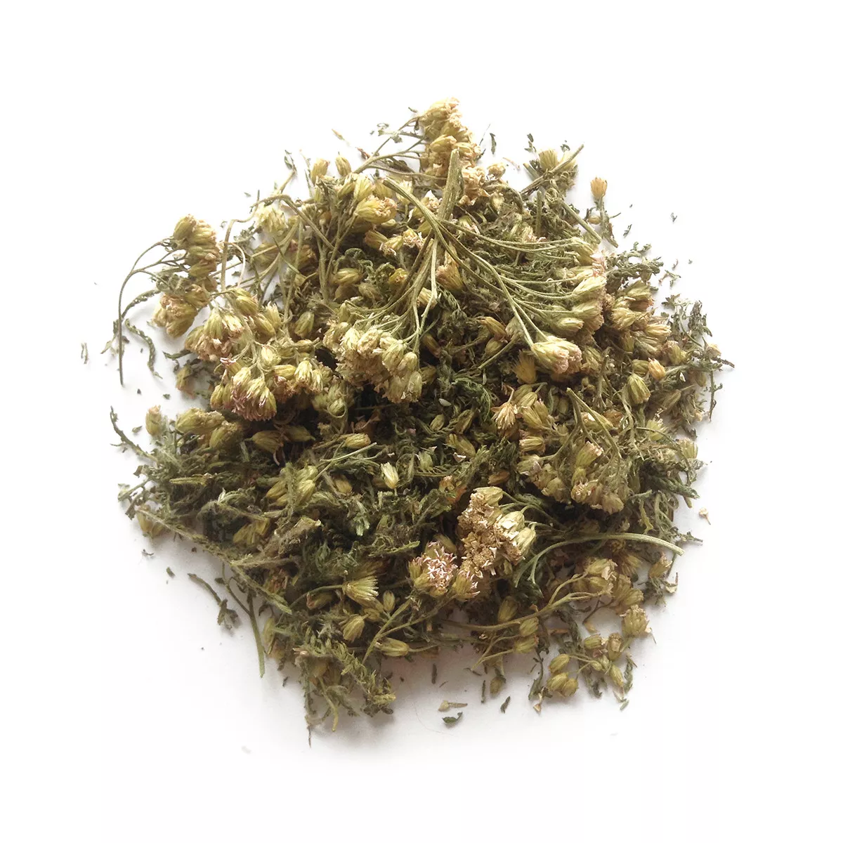 Тысячелистник обыкновенный трава деревий (пак/50грамм), фото №1 Тысячелистник обыкновенный трава деревий (пак/50грамм), фото №1