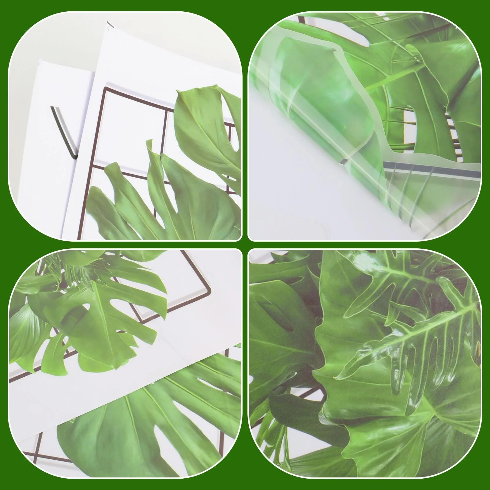 Наклейка на стіну 3D Зелені рослини, фото №3 Наклейка на стіну 3D Зелені рослини, фото №3