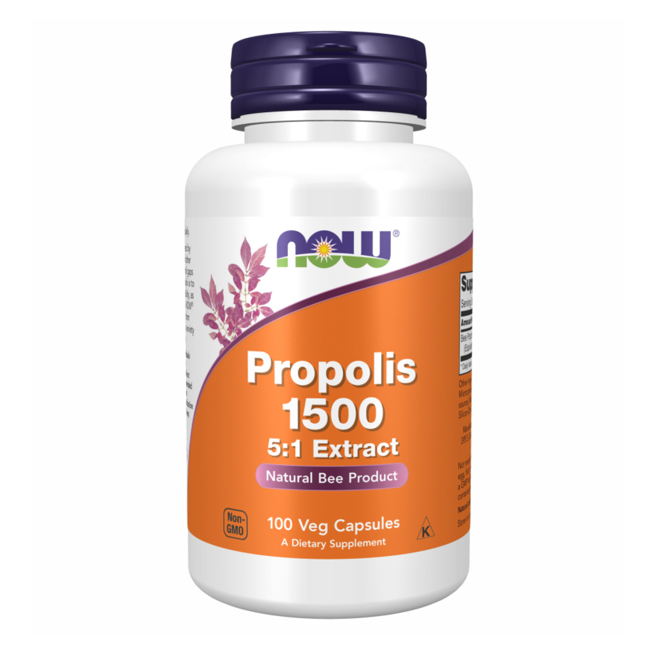 Propolis 1500 5-1 Extract 100vcaps, фото №1