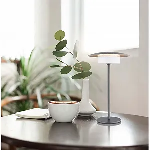 Настольная лампа Globo LED Battery Touch Dimmer Memory 30 см Grey Matt synthetic.ua - Фото 1