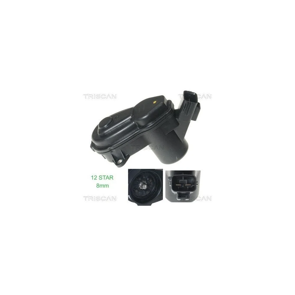 Исполнительный элемент, тормозной суппорт стояночного тормоза TRISCAN 8170 208009, фото №1