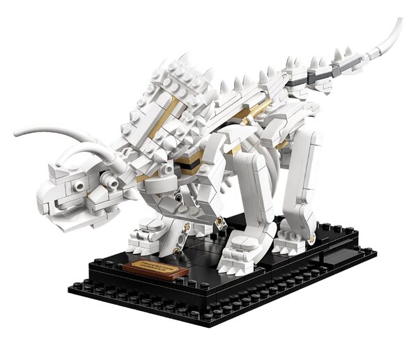 Конструктор LEGO Ideas Окаменелости динозавров (21320), фото №7