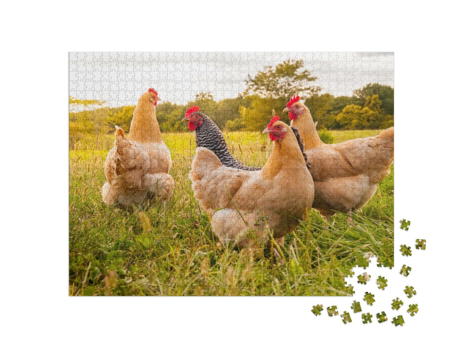 Пазл puzzleYOU Chickens & Chicks Puzzle Collection "Куры на лугу" 1000 элементов, фото №2 Пазл puzzleYOU Chickens & Chicks Puzzle Collection "Куры на лугу" 1000 элементов, фото №2