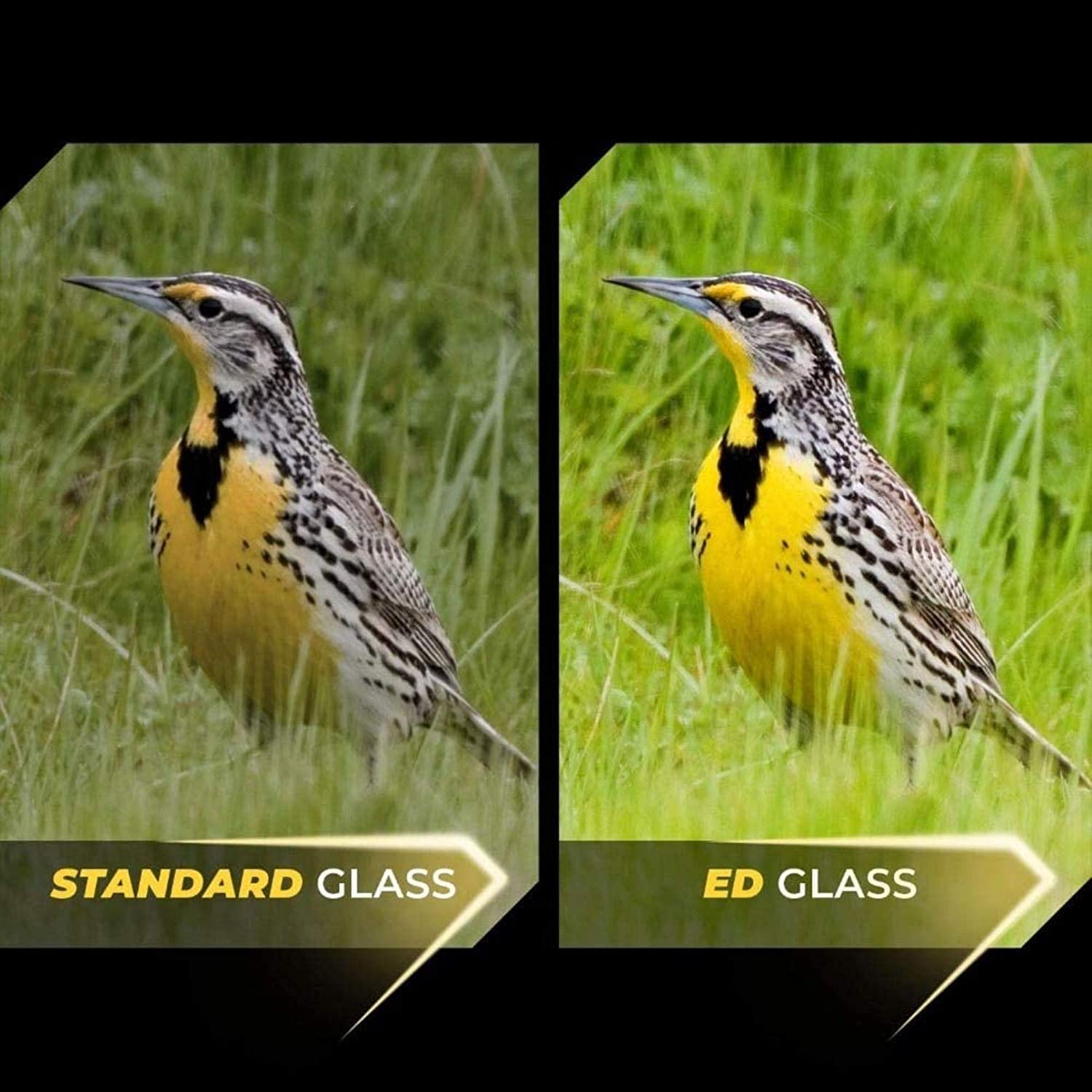 Монокуляр QHYTL 8–40x40 компактный складной водонепроницаемый Bak4 HD Ed-стекло с штативом телефонным зажимом, фото №7