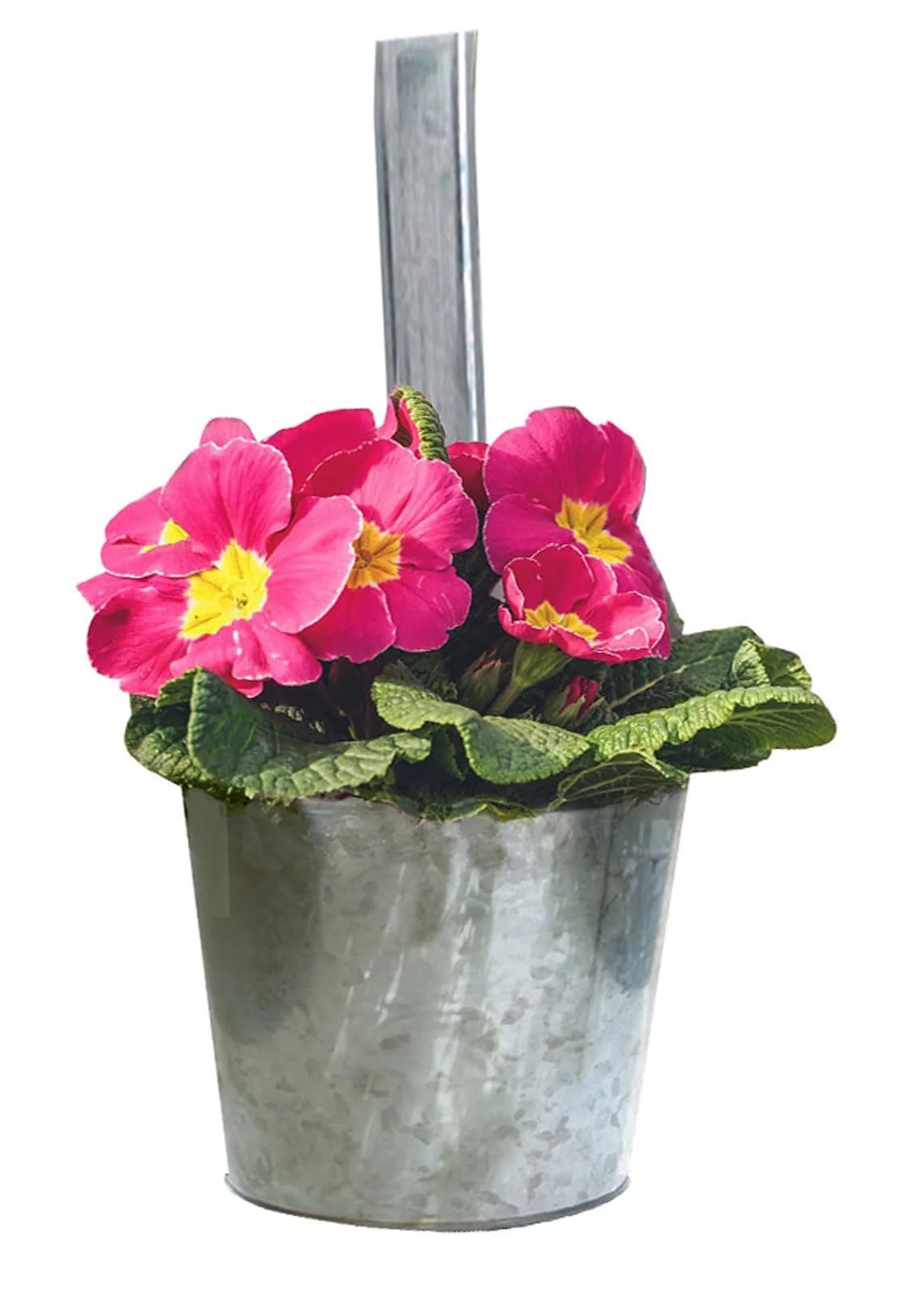 Набір підвісних балконних горщиків Spetebo 6 штук Сріблястий Цинк з гачками, фото №4 Набір підвісних балконних горщиків Spetebo 6 штук Сріблястий Цинк з гачками, фото №4