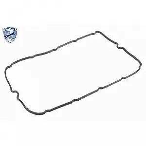 Крышка головки блока цилиндров VAICO V25-2027 EXPERT KITS + для FORD LAND ROVER synthetic.ua - Фото 1