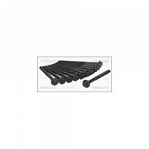 Комплект болтів головки блоку циліндрів TRISCAN 98-8542 для VOLVO - Фото 1