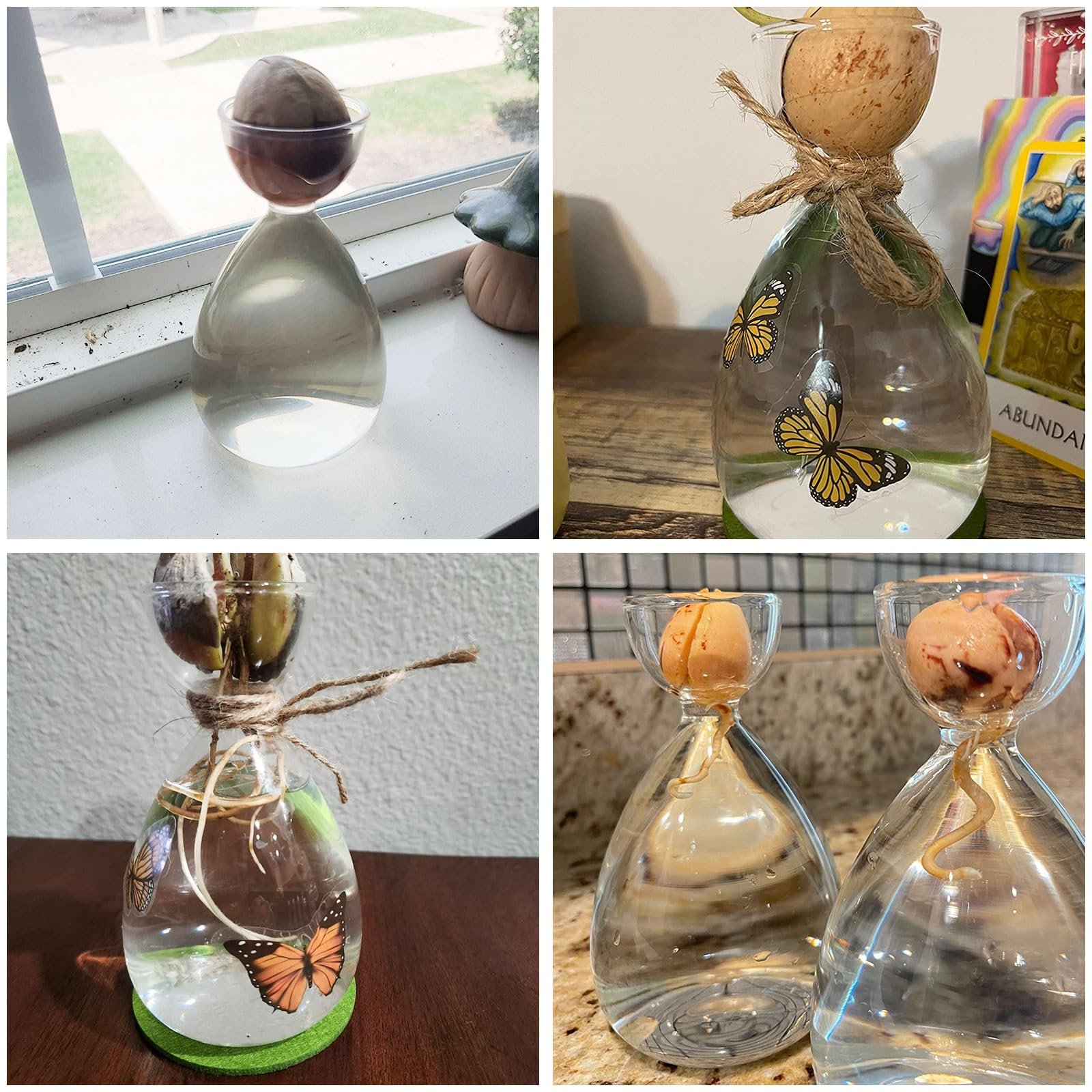 Ваза для авокадо JOJOCY Скляна 2 шт., фото №7