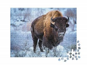 Пазл Bison Animals of the North Puzzle Collection American Bison Crouching in Snow, Winter, Yellowstone National Park 1000 элементов XXL synthetic.ua - Фото 1