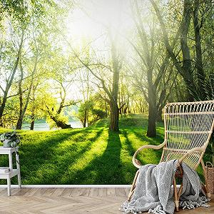 Фотообои Лес 9080012a 396 x 280 см Флизелиновые synthetic.ua - Фото 1