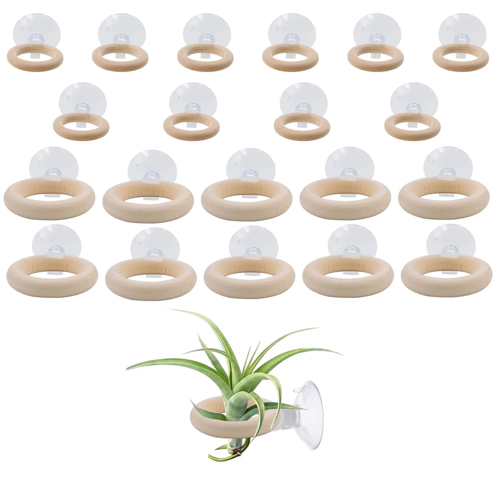 Тримачі для повітряних рослин 20 наборів з присосками Tillandsia Holder настінні для плитки, скла та вікон, фото №1 Тримачі для повітряних рослин 20 наборів з присосками Tillandsia Holder настінні для плитки, скла та вікон, фото №1