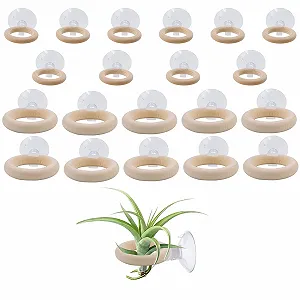 Тримачі для повітряних рослин 20 наборів з присосками Tillandsia Holder настінні для плитки, скла та вікон - Фото 1