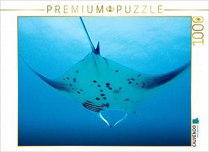 Пазл CALVENDO Manta Ray 1000 элементов 64 x 48 см - Фото 1