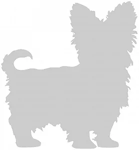 Наклейка на стіну Samunshi Yorkshire Terrier - Фото 1