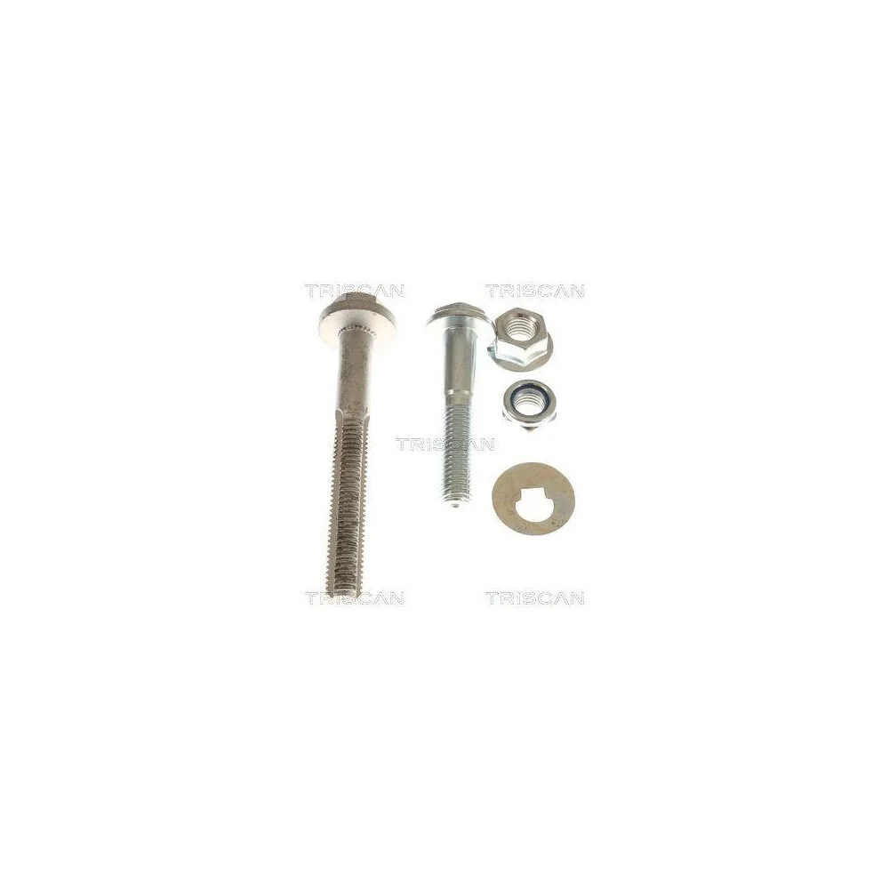 Ремкомплект подвески TRISCAN 8500 81401 для TESLA, фото №1