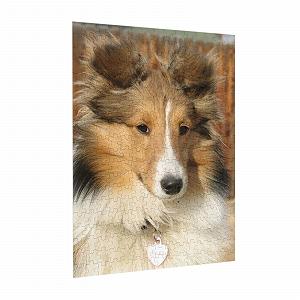 Пазл дерев'яний Beautiful Sheltie Dog, 300 елементів synthetic.ua - Фото 1