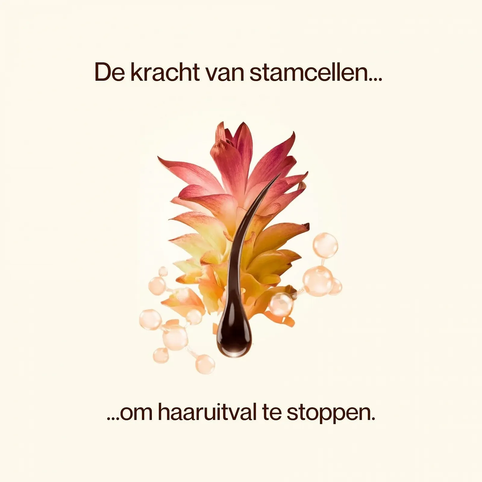 Сироватка для росту волосся зі стовбуровими клітинами SC+ ROOTACTIV для жінок та чоловіків, 75 мл, фото №10