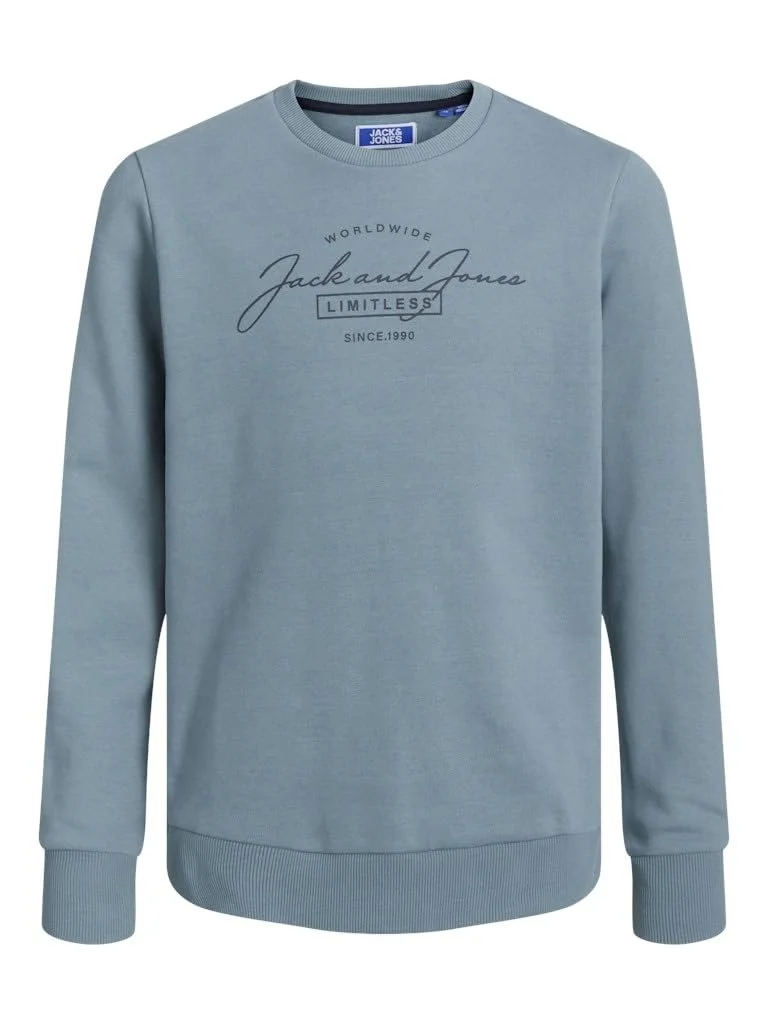 Толстовка JACK&JONES JUNIOR Jjferris Sweat Crew Neck Mni для хлопчиків, фото №1