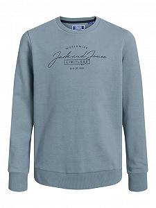 Толстовка JACK&JONES JUNIOR Jjferris Sweat Crew Neck Mni для хлопчиків - Фото 1