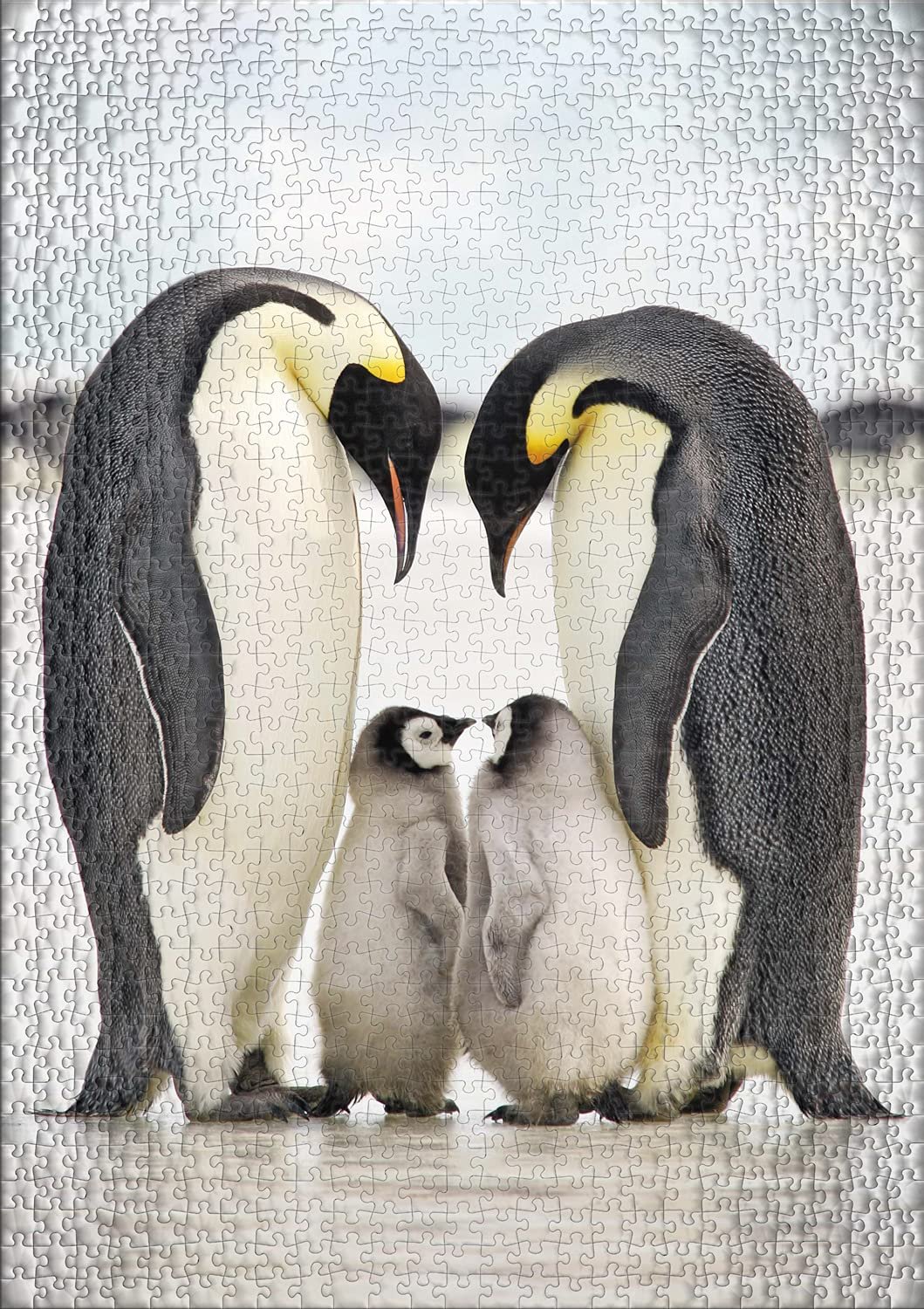Пазл Ulmer Puzzleschmiede Classic Family Happiness 1000 деталей Пингвины, фото №2