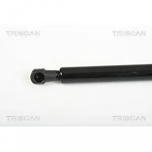 Газовая пружина заднего стекла TRISCAN 8710 25241 для RENAULT, левая, правая synthetic.ua - Фото 1