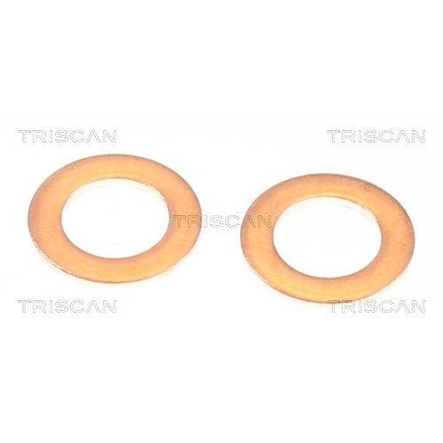 Гальмівний шланг TRISCAN 8150 131006 для TOYOTA, передня вісь справа, фото №4 Гальмівний шланг TRISCAN 8150 131006 для TOYOTA, передня вісь справа, фото №4