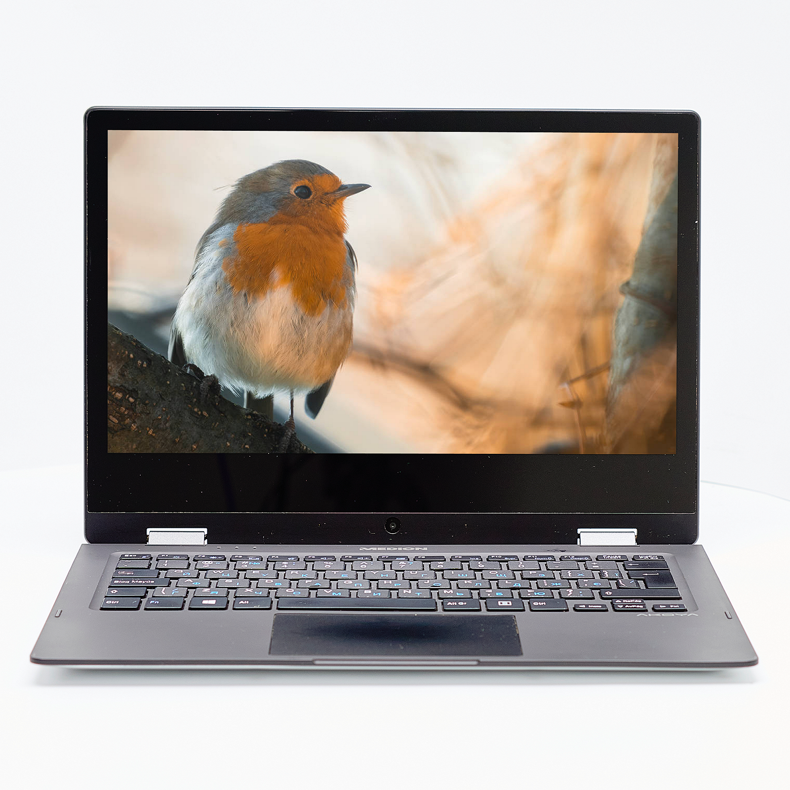 Ноутбук-планшет 11.6" Medion (Lenovo Group) Akoya E2291 Intel RAM 4 ГБ eMMc 64 ГБ Металевий корпус Win10 YOGA, фото №1