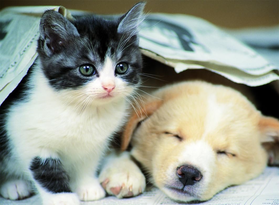 Пазл Ravensburger Nathan 500 деталей (12000967), фото №1 Пазл Ravensburger Nathan 500 деталей (12000967), фото №1