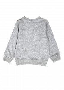 Реглан Дьомка 104см Серый (GT-3103-Grey) synthetic.ua - Фото 1