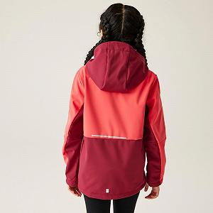 Детская софтшелл куртка Regatta Haydenbury II synthetic.ua - Фото 1