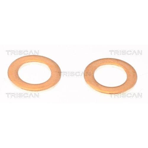 Тормозной шланг TRISCAN 8150 292026 для AUDI SEAT VW BENTLEY, задний мост, фото №4