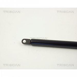 Газовая пружина багажника TRISCAN 8710 6502 для SAAB synthetic.ua - Фото 1