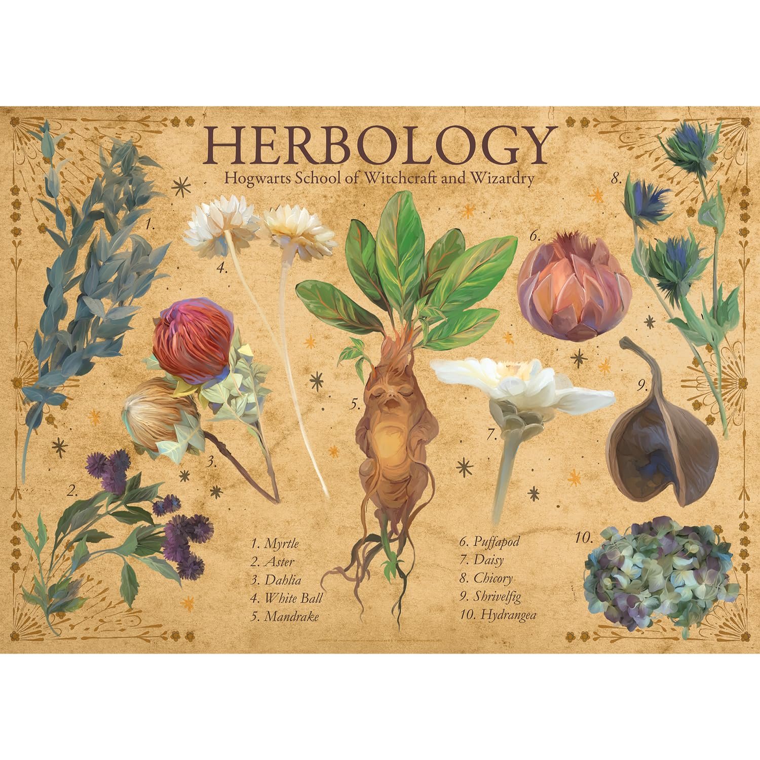 Пазл AQUARIUS Harry Potter Herbology 1000 деталей 20 x 28 дюймов, фото №2