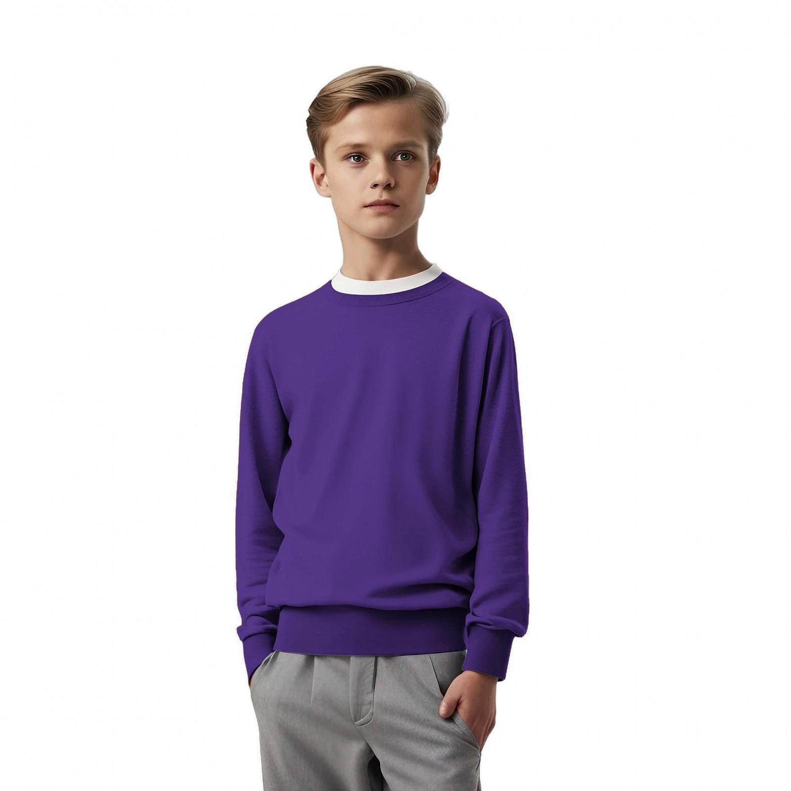 Джемпер Фліс Класичний Круглий виріз Довгий рукав Шкільна форма, фото №2