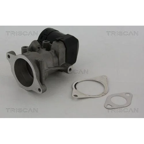 Клапан EGR TRISCAN 8813 10001 для CITROËN FIAT FORD LANCIA PEUGEOT VOLVO, фото №3