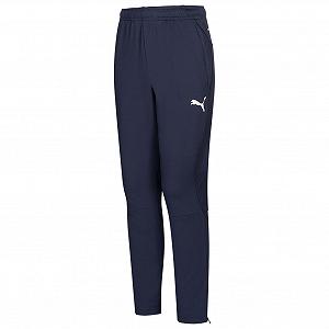 Штаны Pumaiga Training Pants M - Фото 1