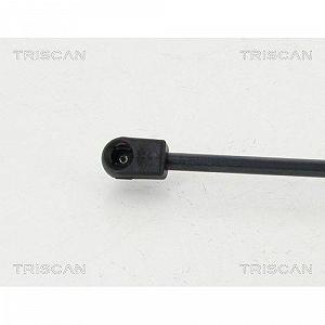 Газлифт багажника TRISCAN 8710 112004 для BMW, задний левый synthetic.ua - Фото 1