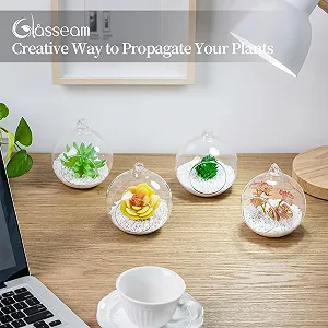 Подвесные стеклянные вазы-шары набор 6 шт. 10 см Прозрачный synthetic.ua - Фото 1