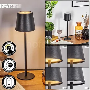 Настільна лампа Salgadinho LED Метал/Пластик USB-C Акумулятор 3 Ватт 300 Люмен 3000 Кельвін Чорний/Білий synthetic.ua - Фото 1