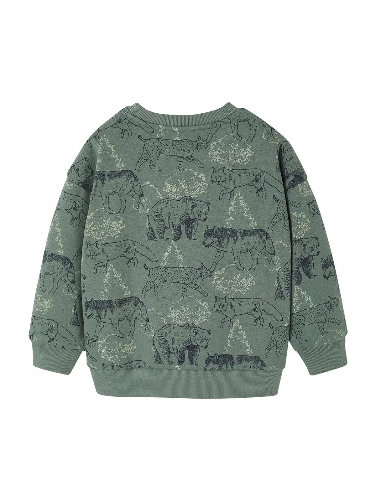 Толстовка Vertbaudet с принтом для мальчиков, переработанный полиэстер, фото №2